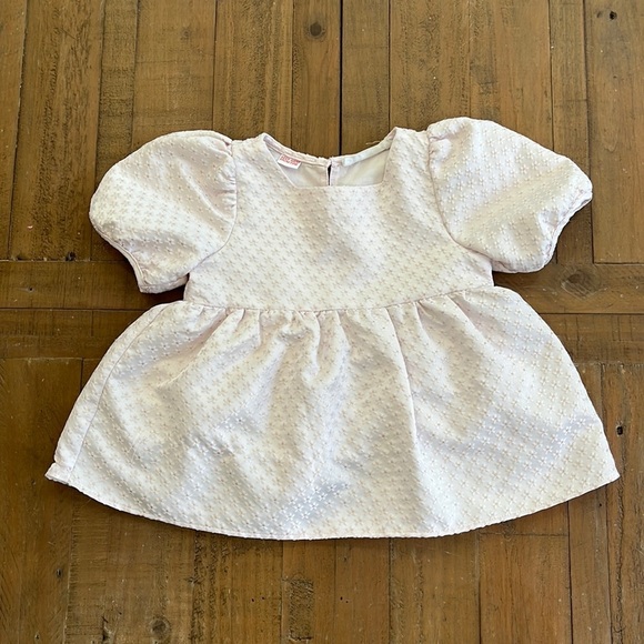 Zara Other - Zara pale pink floral metallic blouse